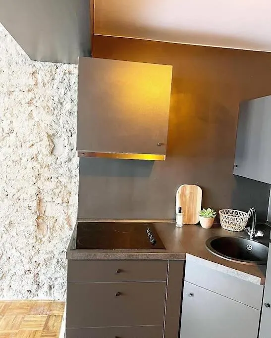 Rustieke Studio Hartje Antwerpen Apartment