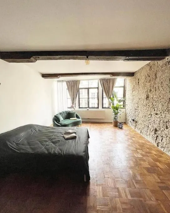 Rustieke Studio Hartje Antwerpen Apartment 0*, Antwerp Belgium